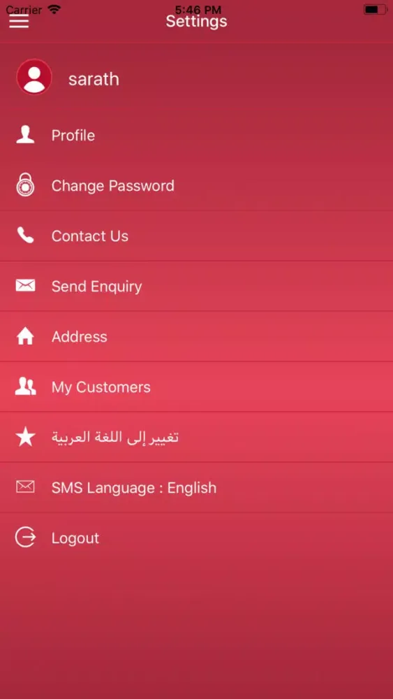 Screenshot di Access Express