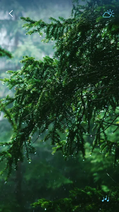 Rain Sounds - Sleep Sounds Screenshots