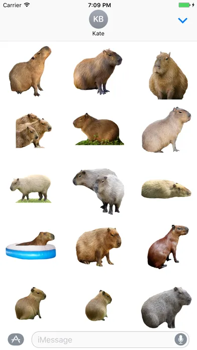 Capybara Stickers for Messages سکرین شاٹس
