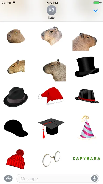 Capybara Stickers for Messages سکرین شاٹس