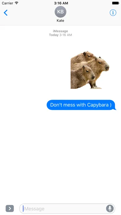 Capybara Stickers for Messages سکرین شاٹس