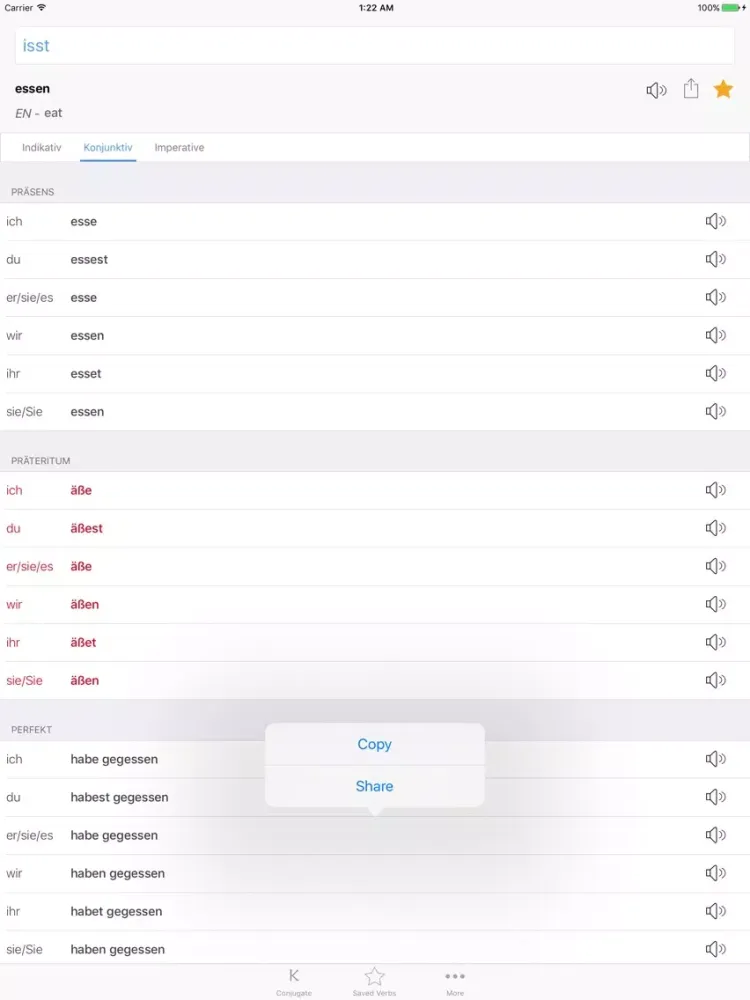 konj- German verbs conjugation iPad  스크린샷