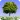 S�u�m�m�e�r� �T�r�e�e�s�