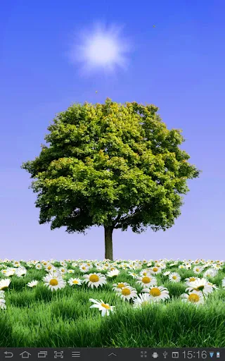 Summer Trees Live Wallpaper Screenshots