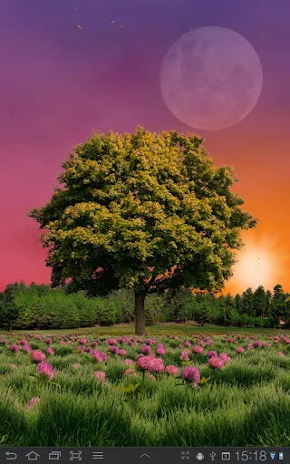 Summer Trees Live Wallpaper Screenshots