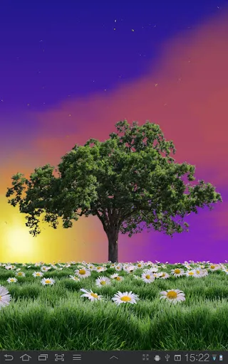 Summer Trees Live Wallpaper Screenshots