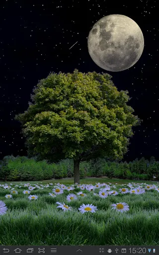 Summer Trees Live Wallpaper Screenshots