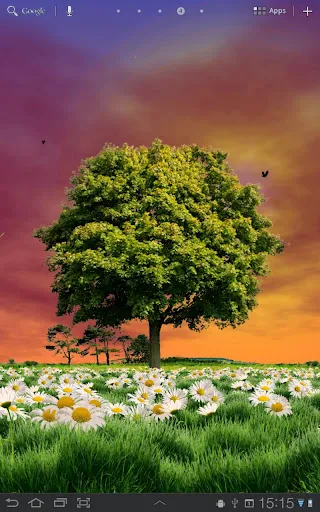 Summer Trees Live Wallpaper Screenshots