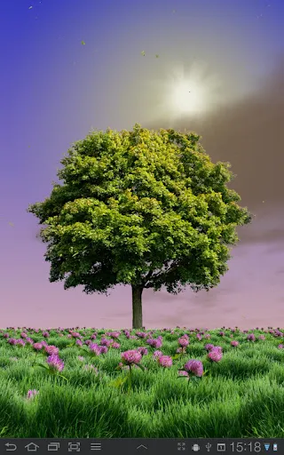 Summer Trees Live Wallpaper Screenshots