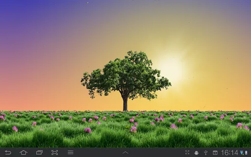 Summer Trees Live Wallpaper Screenshots