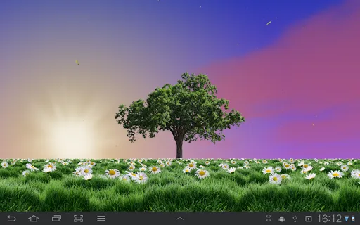 Summer Trees Live Wallpaper Screenshots