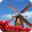 Tulip Windmill Live Wallpaper