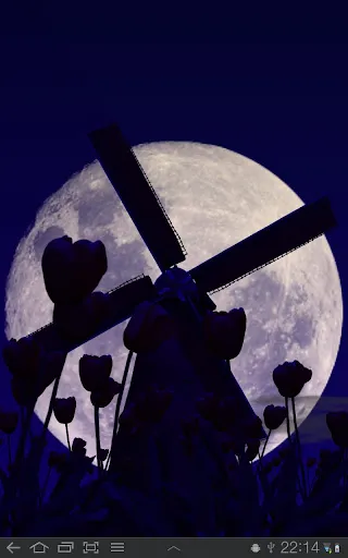 Captures d'écran de Tulip Windmill Live Wallpaper