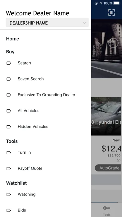 Tangkapan layar Hyundai Finance Dealer Direct