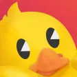 Duckling Duck Duckling Duck