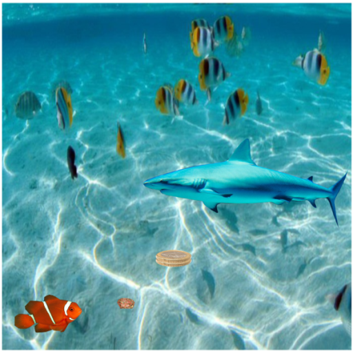 Escape Shark