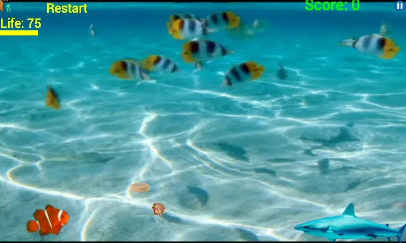 Escape Shark Screenshots