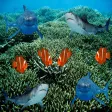 Save Clown Fish