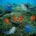 Save Clown Fish
