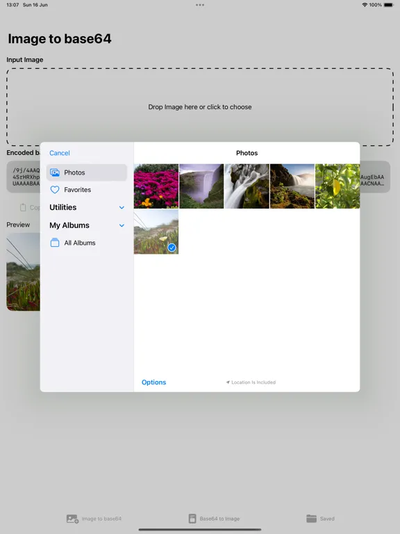 صور Base64 Image Converter iPad 