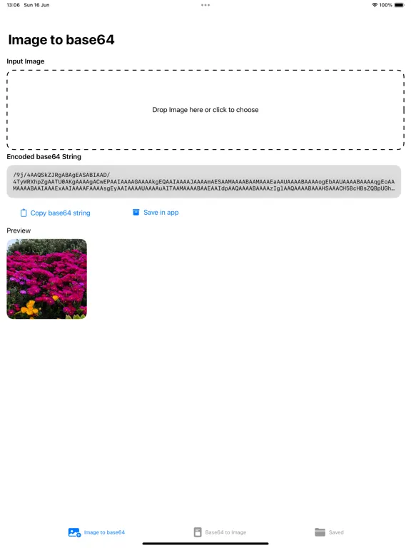 صور Base64 Image Converter iPad 