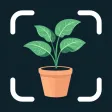 Plant Identifier: Care Tips