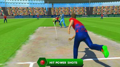صور Cricket Super Over Challenge