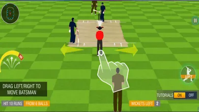 صور Cricket Super Over Challenge