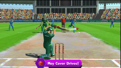 صور Cricket Super Over Challenge