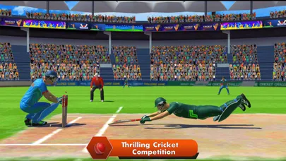 صور Cricket Super Over Challenge
