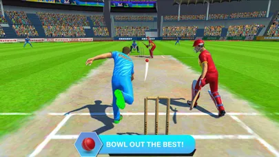 صور Cricket Super Over Challenge
