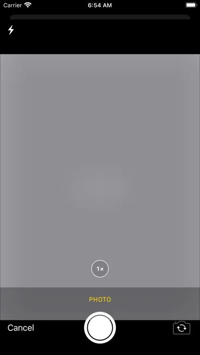 AI Scan and Solve應用截圖