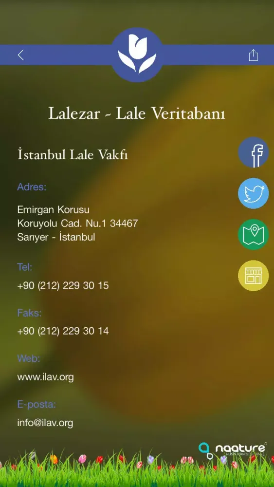 Ảnh chụp màn hình của Lalezar