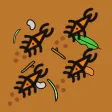 Beetle Frenzy