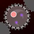 Survival of the Fittest