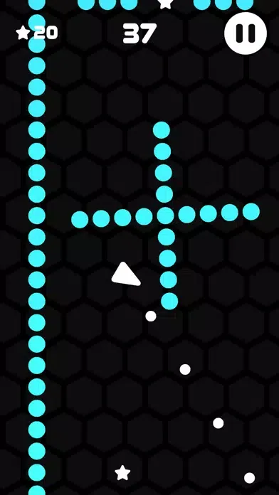 Triangle Rush سکرین شاٹس