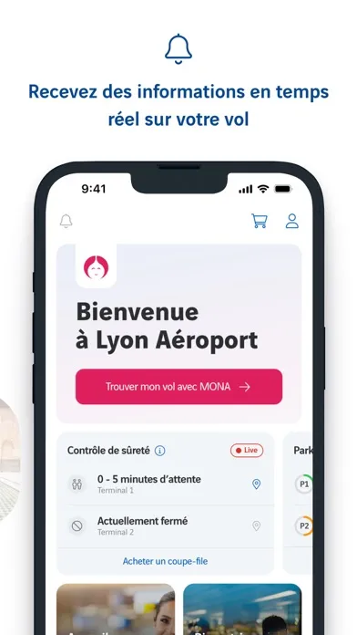 Tangkapan skrin Lyon Aéroport