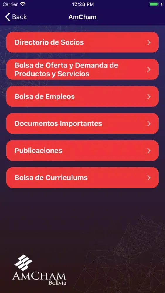 Скриншоты AmCham Bolivia