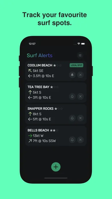 Surf Alerts應用截圖