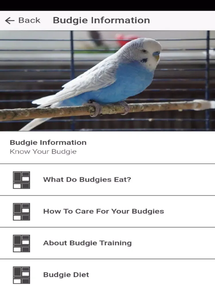 Скриншоты Pet Budgie Information & Care iPad 