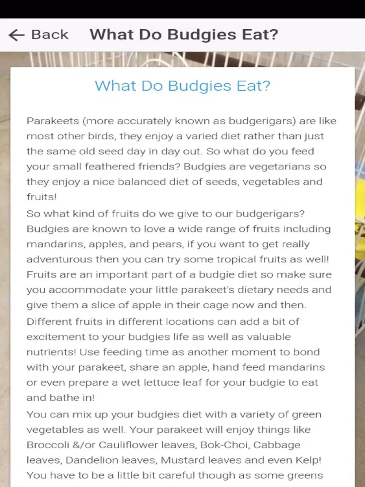 Скриншоты Pet Budgie Information & Care iPad 