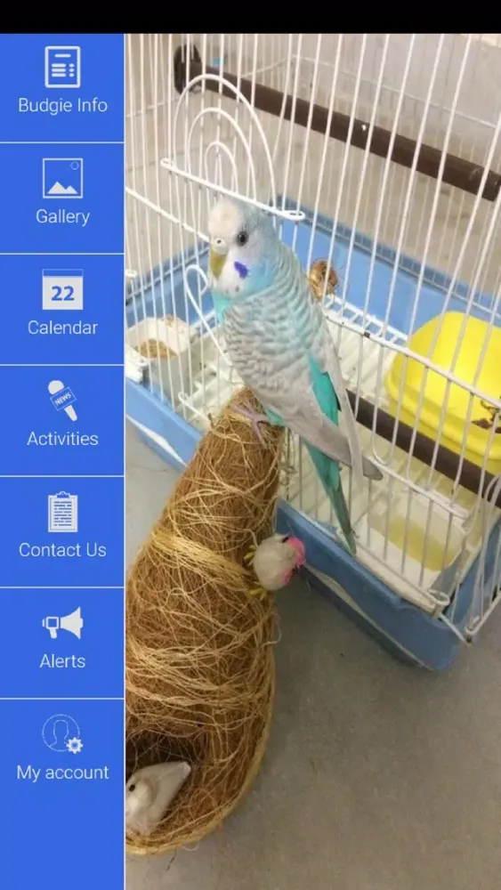 Скриншоты Pet Budgie Information & Care