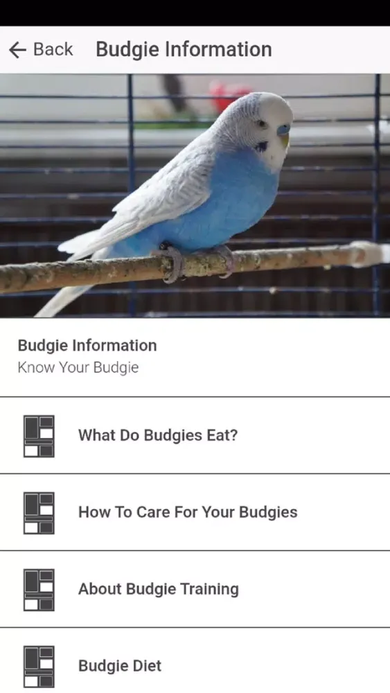 Скриншоты Pet Budgie Information & Care