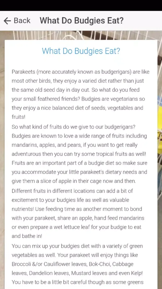 Скриншоты Pet Budgie Information & Care