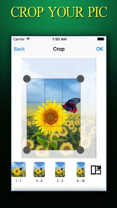 Capturas de pantalla de CROP PHOTO ++ Crop Photos Instantly With Effects Editing Tools