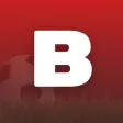 BVD: Income&Expense for Bovada BVD: Income&Expense for Bovada