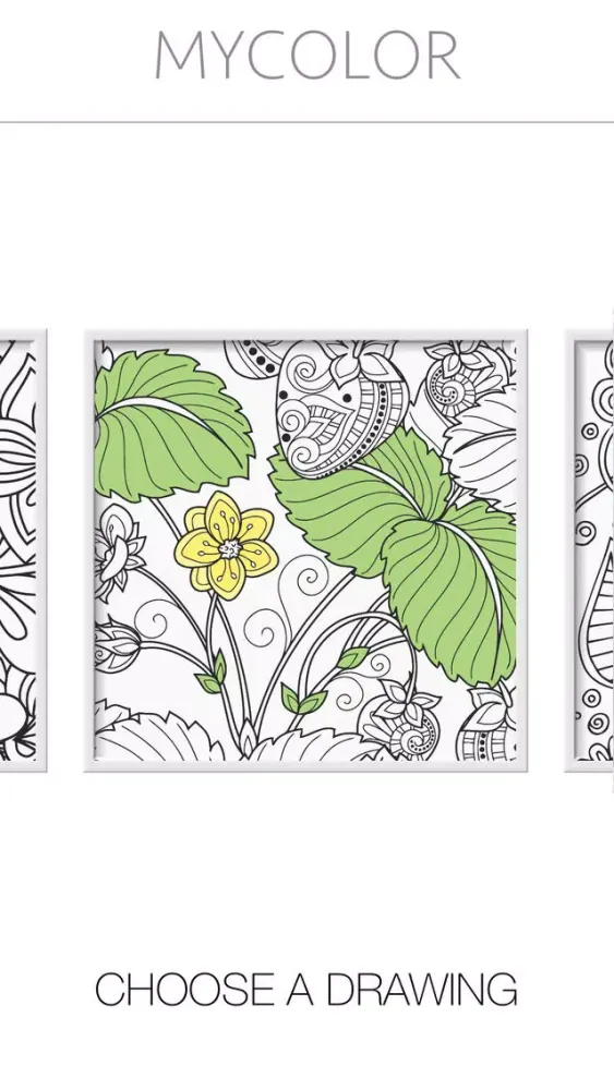MyColor: Coloring Book for Adults 스크린샷