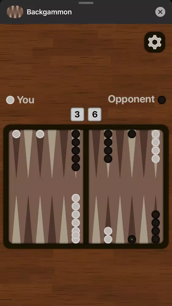 Zrzuty ekranu Backgammon Game