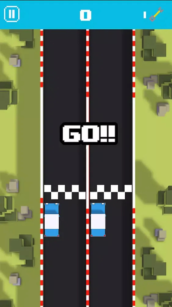 صور 2 Lane Racers
