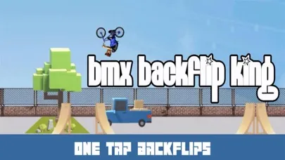 Скриншоты BMX Backflip King